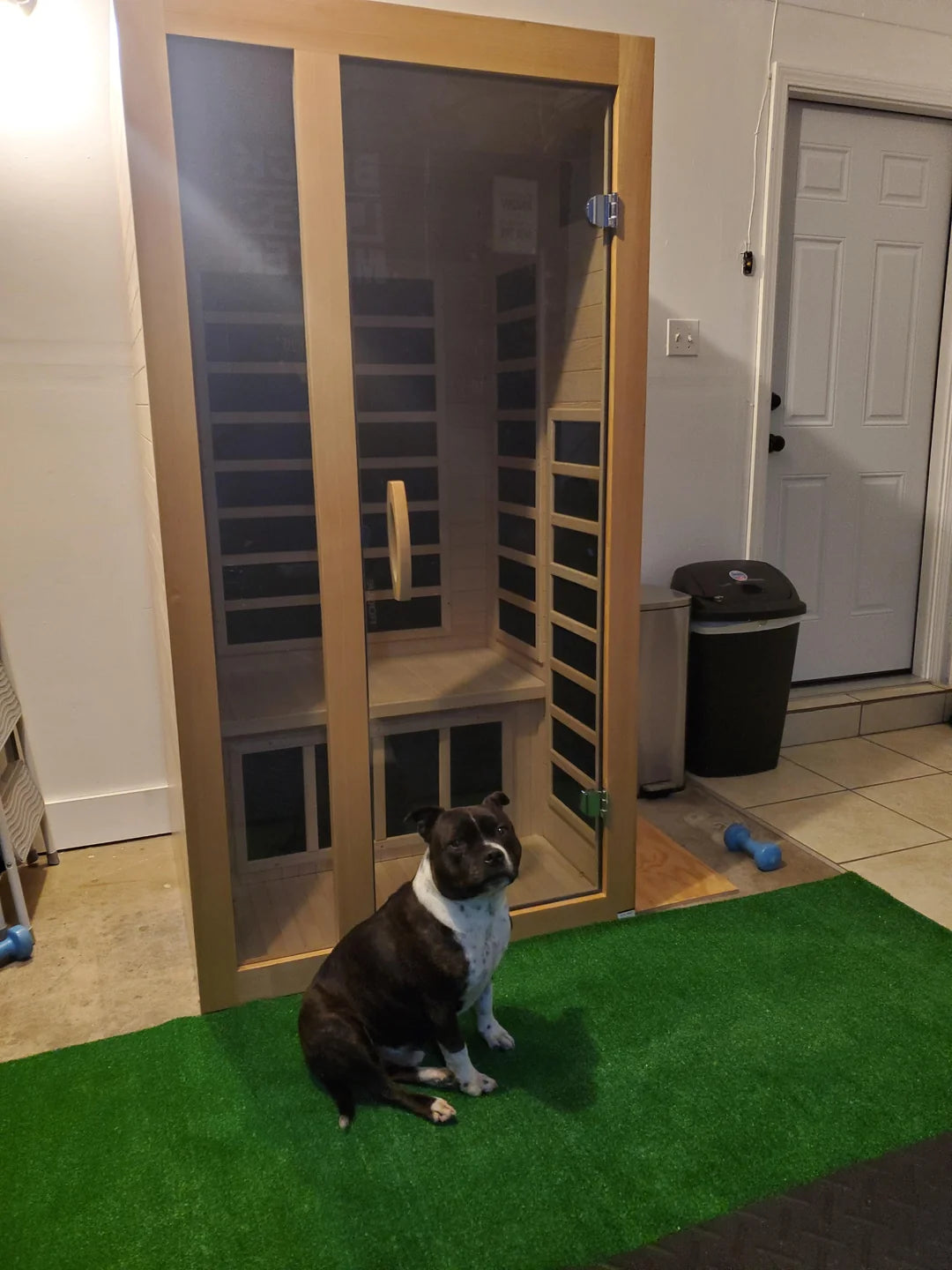 Dynamic Gracia 1-2-Person Low EMF FAR Infrared Sauna